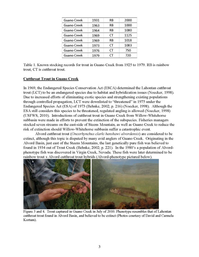 Preservation of Alvord cutthroat trout phenotype from Guano Creek (3)